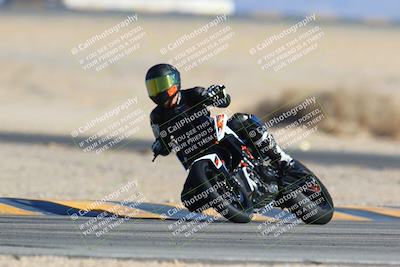 media/Jan-14-2024-SoCal Trackdays (Sun) [[2e55ec21a6]]/Turn 4 Tree of Life (155pm)/